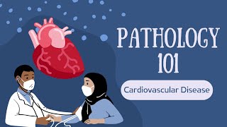 Pathology 101  Cardiovascular Disease [upl. by Adai]