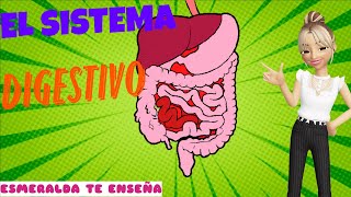 El Sistema Digestivo  El Cuerpo Humano  Esmeralda Te Enseña [upl. by Edlin146]