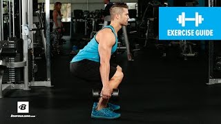 How to Dumbbell Squat  Mike Hildebrandt [upl. by Daney]