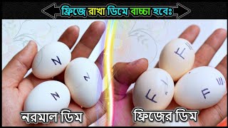 ফ্রিজে রাখা ডিম থেকে কি বাচ্চা ফুটবে ⚡ Jactok পাখি ভাইয়া [upl. by Daniele738]