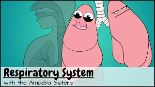 Respiratory System [upl. by Siramed]