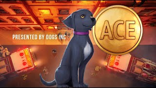 ACE  A Short Animated Film by Dogs Inc [upl. by Hodgkinson938]