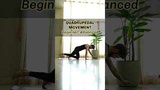 Quadrupedal Movement  Beginner to Advanced primalfitness [upl. by Neerual]