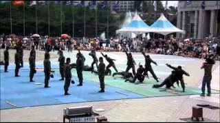 SWC of ROKA 특공무술시범2011flv [upl. by Esmeralda]