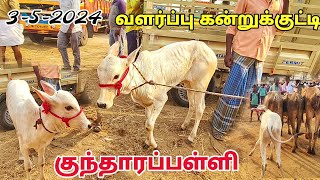 352024 kundarapalli Friday cow market  biggest market Krishnagiri  nattu madu  குந்தாரப்பள்ளி [upl. by Uv]