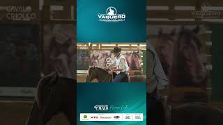 Lider Parcial Categoria Aberta  BOX 17 GUTO DA PAVEI  VAQUEROWORKING COW HORSE 2024 [upl. by Enaz]