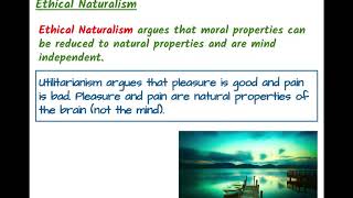 Meta Ethics  Naturalist and Non Naturalist theories [upl. by Oigroig]