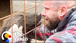 Guy Rescues Hundreds Of Dogs From City Shelters  The Dodo [upl. by Yerdua]