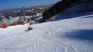 Sit SkiMono Ski Dream Program 2013 at Alpensia Pyeongchang South Korea [upl. by Stillas]