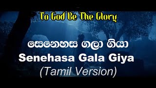 Senehasa gala giya  Tamil song  Easter songs Tamil  Pasam nadhiyanadhe [upl. by Dominique]