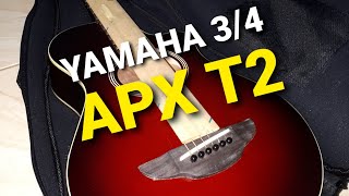 YAMAHA APXT2 Review [upl. by Allister]