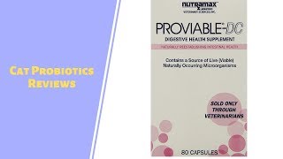 Best Cat Probiotics To Purchase  Cat Probiotics Reviews [upl. by Mateya]