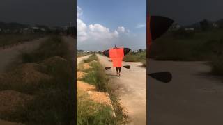 Thả diều sáo đại trà cõng giàn sáo gì đây các bạn vietnamkite kite xuhuong youtubeshorts [upl. by Bryon636]