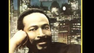 Marvin Gaye  Till Tomorrow 1983 [upl. by Etnoed297]