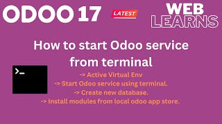 How to start Odoo from terminal  odoobin  Odoo 17 Tutorial [upl. by Hesper]