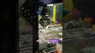 Unbelievable Claw Machine Win 🤯 [upl. by Romelle]