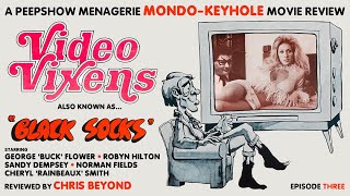 Video Vixens 1974 Movie Review [upl. by Erdnad802]