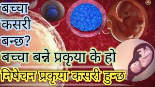 शुक्रकिट र डिम्बको मिलन कहाँ कसरी हुन्छ र बच्चा बन्छ  Human Fertilization process [upl. by Johny939]