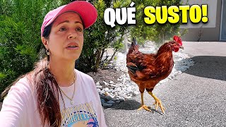 Así Celebramos el Cumpleaños de Harolin 😅 Sandra Cires Vlog [upl. by Madlin]