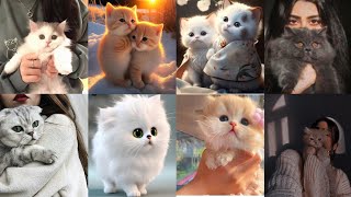 Cute Cat Images For whatsapp DP Cat Photo For Girls  Nidi Creation [upl. by Atteuqaj]