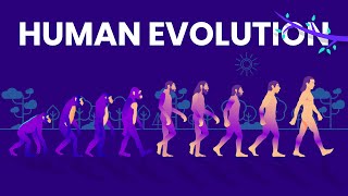 Human Evolution Animated Timeline [upl. by Shauna45]