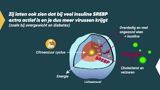 CoronaGezond met Drs Remco Verkaik [upl. by Aguste938]