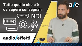 Audio Effetti  Tutto quello che c’è da sapere sui segnali [upl. by Nadler]