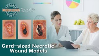 Cardsized Necrotic Wound Simulation Models [upl. by Hannavas475]