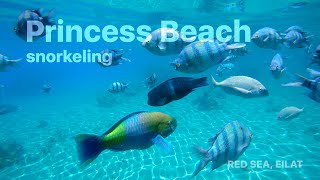 Snorkeling Princess Beach Eilat Israel [upl. by Hernando]