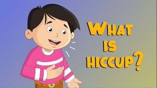 What is Hiccup [upl. by Airrotal977]