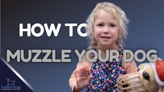 Cutest Trainer Ever Muzzle Training Tips [upl. by Damiano]