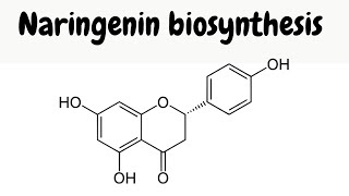 Biosynthesis of naringenin  mechanisms [upl. by Eldnik]