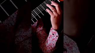 Capriccio n5 N Paganini guitar [upl. by Ayahc]