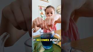 What is Butterfly Pea [upl. by New150]