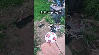 Ball drop day 7 football sports [upl. by Rad]