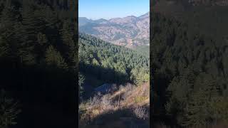 shimla nature ytshorts youtube automobile [upl. by Atsylak]