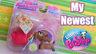 Unboxing My Newest LPS yes I bought more littlest pet shop [upl. by Tallie]