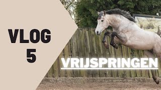 VLOG 5 Vrijspringen [upl. by Lemcke]