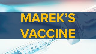 How to Administer the Mareks Disease Vaccine [upl. by Castorina786]