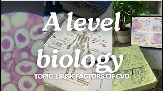 A level biology Edexcel A SNAB Topic 1 Risk Factors of CVD [upl. by Hceicjow]