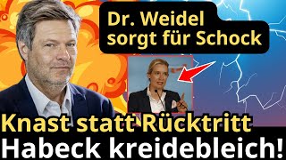 Dr Weidel sorgt für Schock Knast statt Rücktritt Habeck kreidebleich [upl. by Jameson]