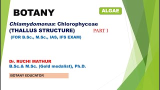 Chlamydomonas Thallus Structure BSc I year MSc Botany [upl. by Caryl]