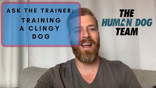 Training a Clingy Dog  Dog Training  Ask the Trainer  The Human Dog Team [upl. by Brine]