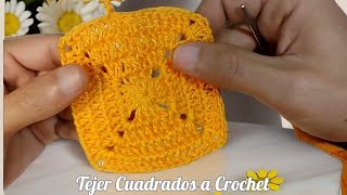 Tejer Cuadrados a Crochet Patrones y Proyectos Creativos para Principiantes y Expertos [upl. by Pincince]