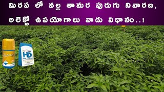 indofil Alecto Insecticide information in telugu  Broflanilide 20 sc  alecto indofil insecticide [upl. by Juieta]