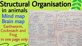 Mind map Structural Organisation in Animals Brain map Biology Class 11 Chapter 7 [upl. by Adnoved]