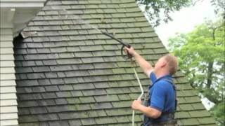 How to get rid of moss on roof with Moss Buster® [upl. by Dunaville]