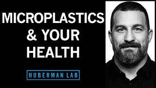 The Effects of Microplastics on Your Health amp How to Reduce Them [upl. by Sardse477]