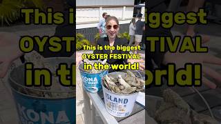 This is the BIGGEST Oyster Festival in the WORLD🌎 [upl. by Steele]