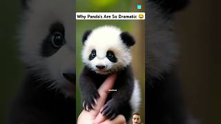 Dramatic Pandas🐼 panda tamil animals interestingfacts new trending dastan latest facts [upl. by Alaham]